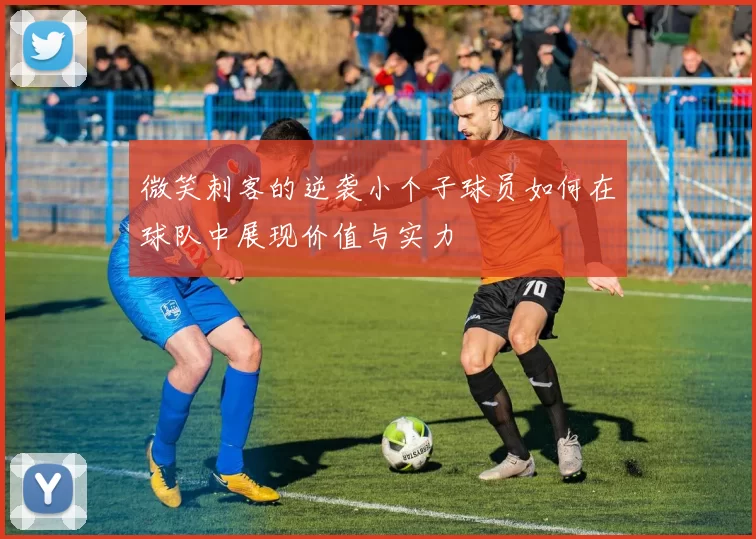 微笑刺客的逆袭小个子球员如何在球队中展现价值与实力