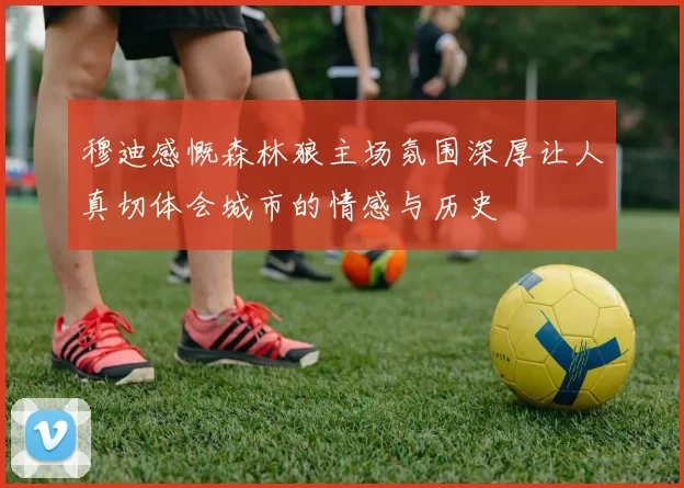 穆迪感慨森林狼主场氛围深厚让人真切体会城市的情感与历史