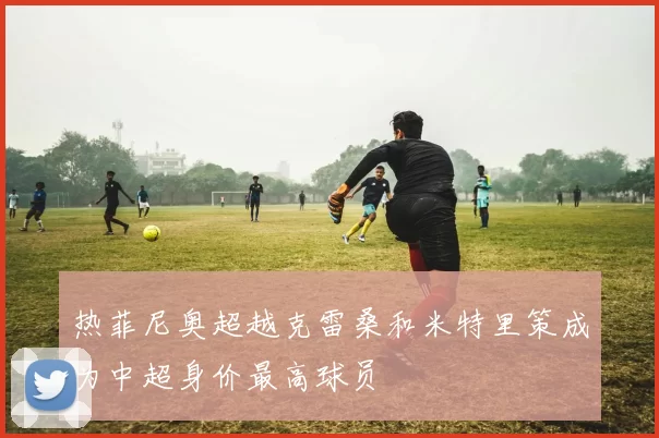 热菲尼奥超越克雷桑和米特里策成为中超身价最高球员