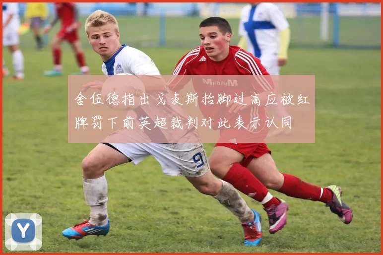舍伍德指出戈麦斯抬脚过高应被红牌罚下前英超裁判对此表示认同